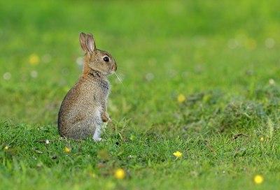 BUITEN BEELD Foto: 205259