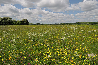 BUITEN BEELD Foto: 205269