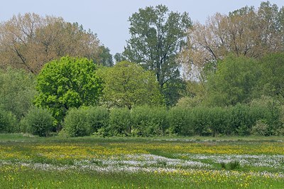 BUITEN BEELD Foto: 205288