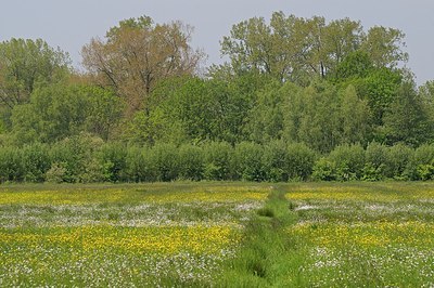 BUITEN BEELD Foto: 205289
