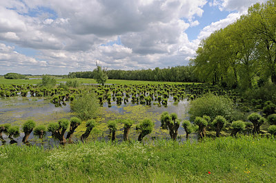 BUITEN BEELD Foto: 205306