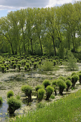 BUITEN BEELD Foto: 205307