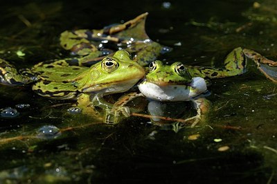 BUITEN BEELD Foto: 205310