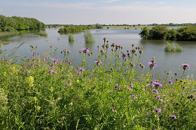 BUITEN BEELD Foto: 205327