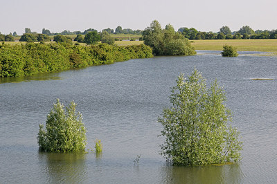 BUITEN BEELD Foto: 205331