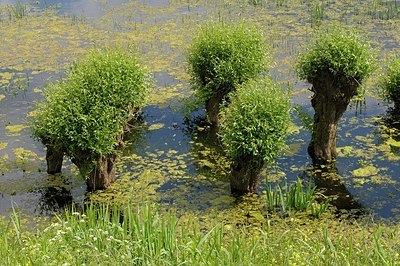 BUITEN BEELD Foto: 205340