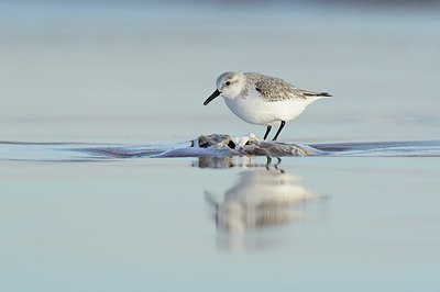 BUITEN BEELD Foto: 205405