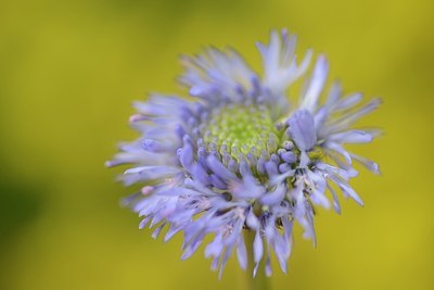BUITEN BEELD Foto: 205427