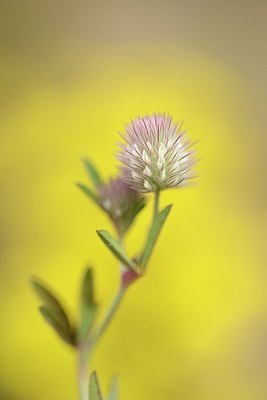 BUITEN BEELD Foto: 205428