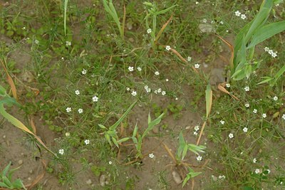 BUITEN BEELD Foto: 205442