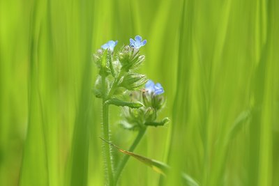 BUITEN BEELD Foto: 205506