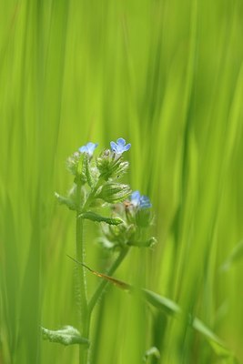 BUITEN BEELD Foto: 205508