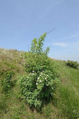 BUITEN BEELD Foto: 205590