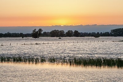 BUITEN BEELD Foto: 205668