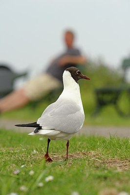 BUITEN BEELD Foto: 205773