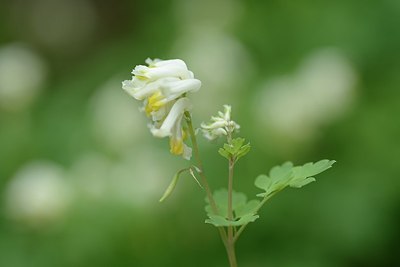 BUITEN BEELD Foto: 205792