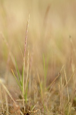 BUITEN BEELD Foto: 205821