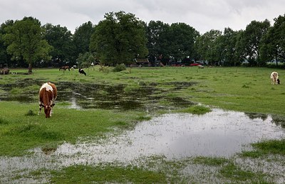 BUITEN BEELD Foto: 205867