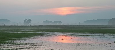 BUITEN BEELD Foto: 205901