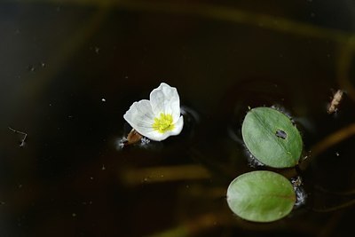 BUITEN BEELD Foto: 206011