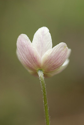 BUITEN BEELD Foto: 206110