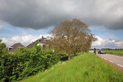 BUITEN BEELD Foto: 206131
