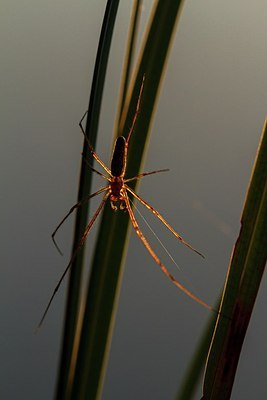 BUITEN BEELD Foto: 206186