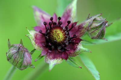BUITEN BEELD Foto: 206315