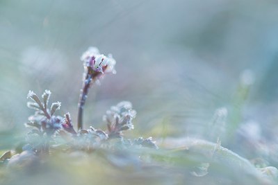 BUITEN BEELD Foto: 206390