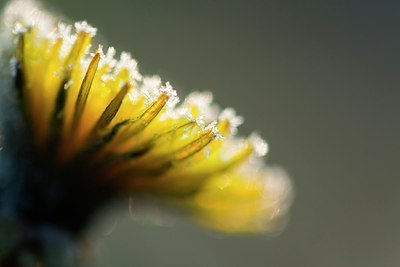 BUITEN BEELD Foto: 206429