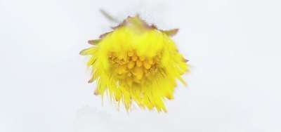 BUITEN BEELD Foto: 206436