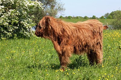 BUITEN BEELD Foto: 206481