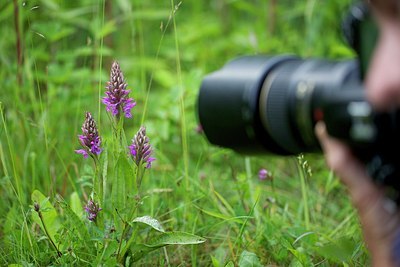 BUITEN BEELD Foto: 206532