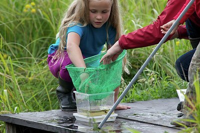 BUITEN BEELD Foto: 206542