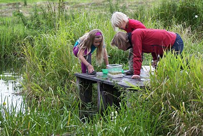 BUITEN BEELD Foto: 206544