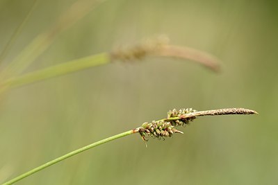 BUITEN BEELD Foto: 206556