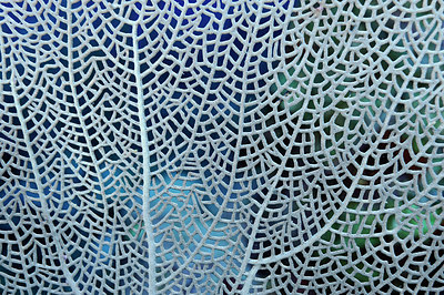 BUITEN BEELD Foto: 206685