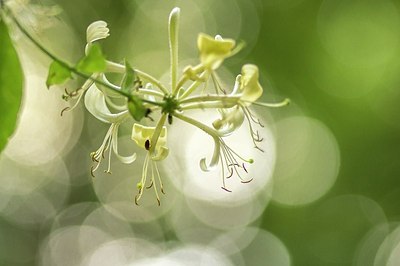 BUITEN BEELD Foto: 206769