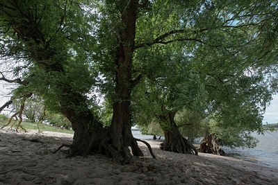 BUITEN BEELD Foto: 206781