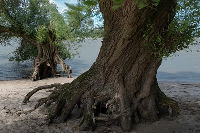 BUITEN BEELD Foto: 206782