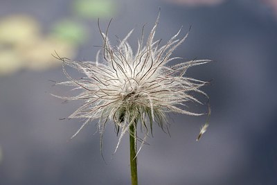 BUITEN BEELD Foto: 206811