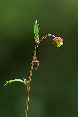 BUITEN BEELD Foto: 206870