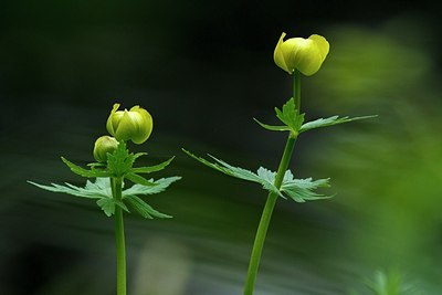 BUITEN BEELD Foto: 206871