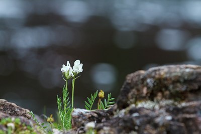 BUITEN BEELD Foto: 206879