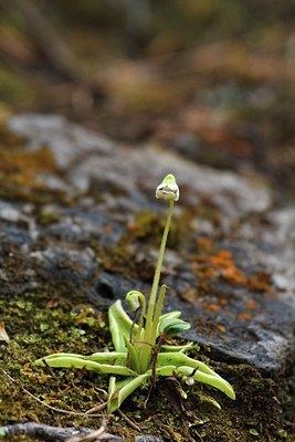 BUITEN BEELD Foto: 206883