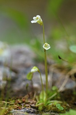 BUITEN BEELD Foto: 206897