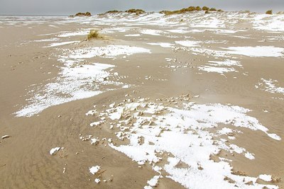 BUITEN BEELD Foto: 206932
