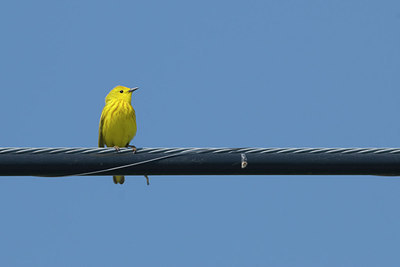 BUITEN BEELD Foto: 206956