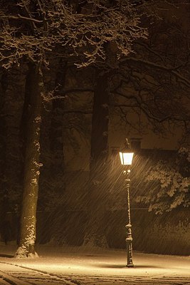 BUITEN BEELD Foto: 207054