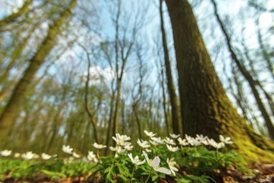 BUITEN BEELD Foto: 207057